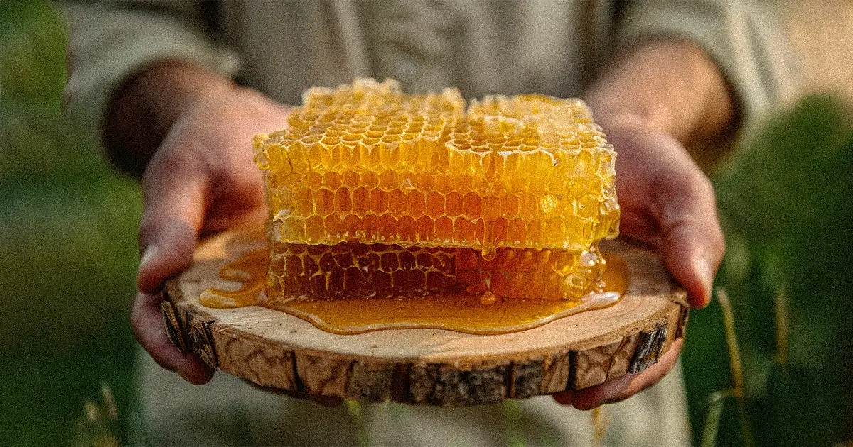 honey seasons